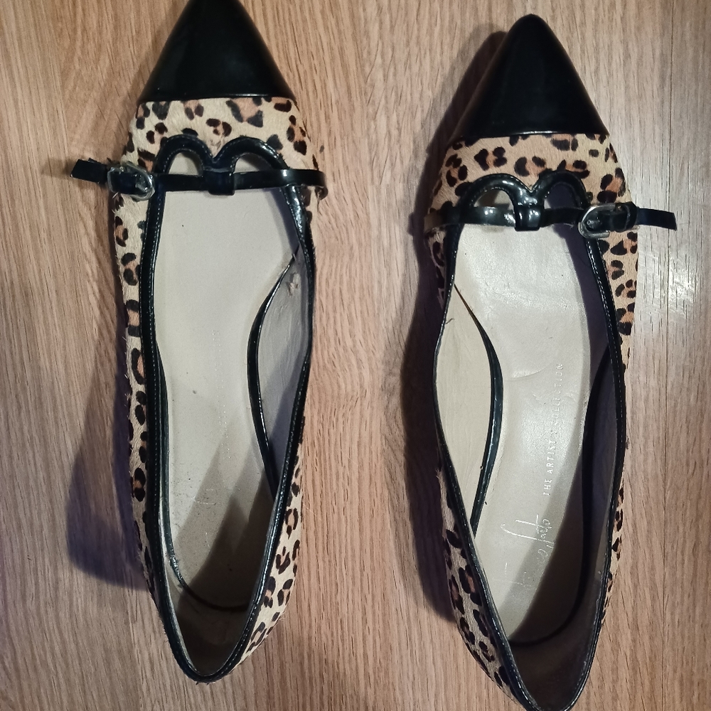 Franto Sarto Shoes